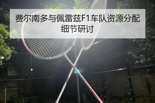 费尔南多与佩雷兹F1车队资源分配细节研讨